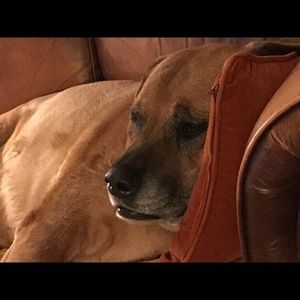 Meet your Posher, Andy